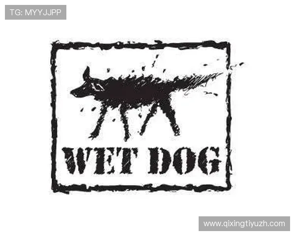 博鱼官网下载问题解决方案详解帮助用户顺利下载安装指南